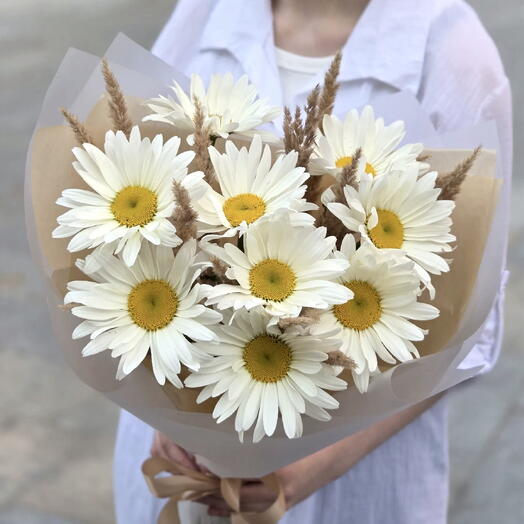 Букет из полевых одноголовых ромашек и пампаса🌾