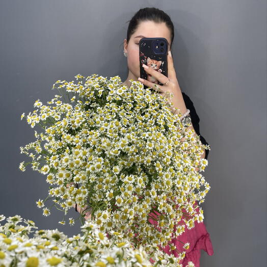 25 полевых ромашек️🤍