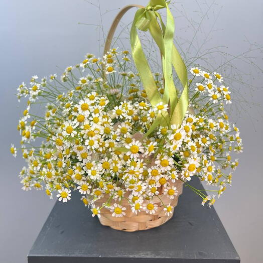 Корзина с ромашками
