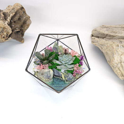 Florarium with succulents "Velvet tenderness" with lake Icosahedron 14cm