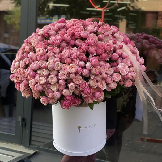 Сильва Pink