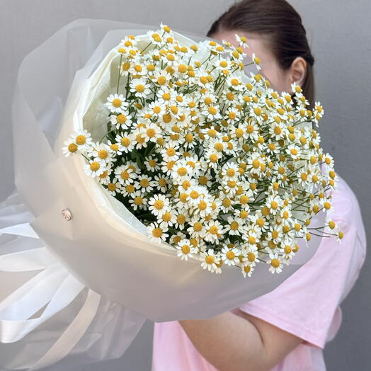 Летний букет ромашки