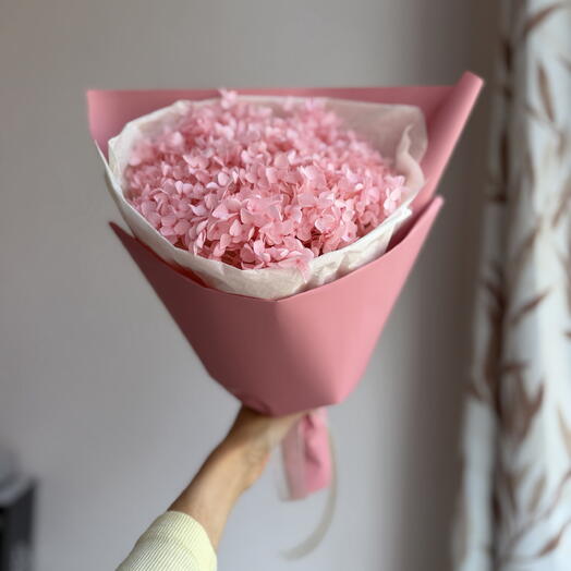 Гортензия нежно-розовая 🌸