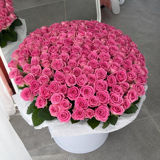 Bloomia
