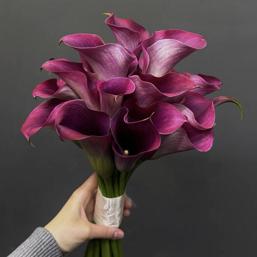 Wedding bouquet of wine calla lilies