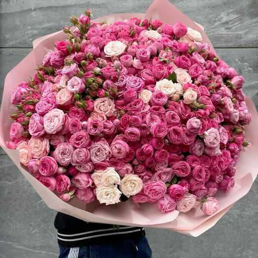 101 spray roses