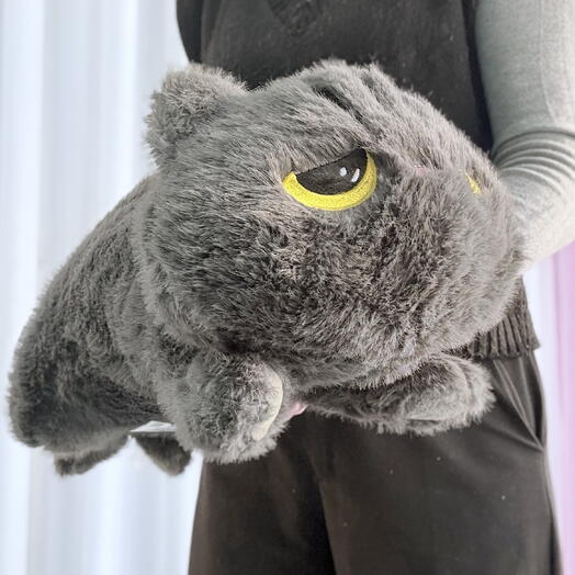 Кот длинный серый