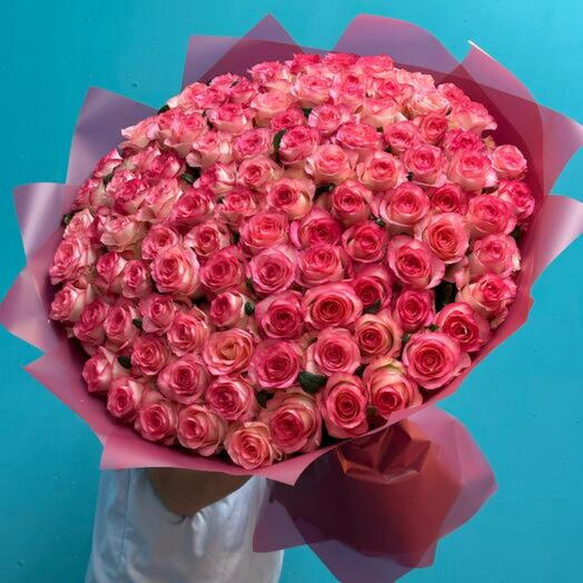 Jumilia roses 101