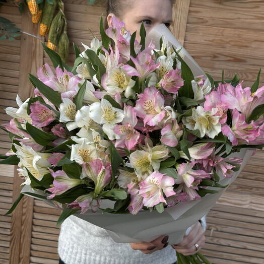 Букет из 11 альстромерий