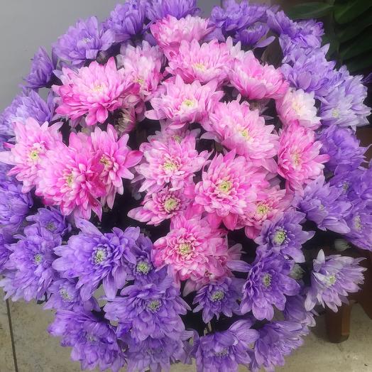 Bouquet "15 bright chrysanthemums"
