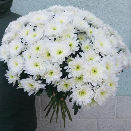 Балтика