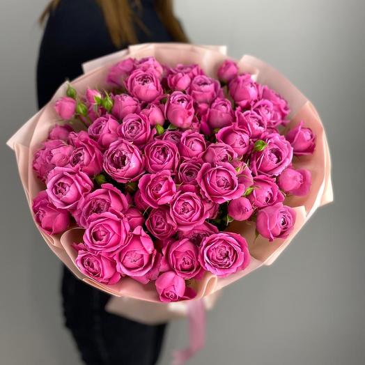 Misty Bubbles ' Peony Rose