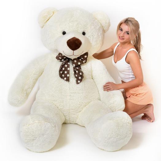 Big teddy bear white 200cm