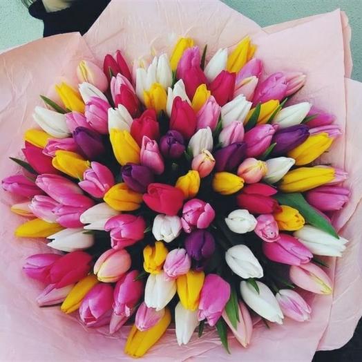 101 разноцветный тюльпан