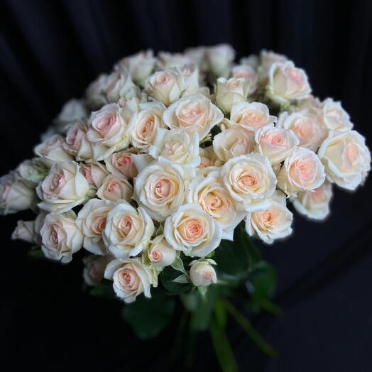 Rose bush