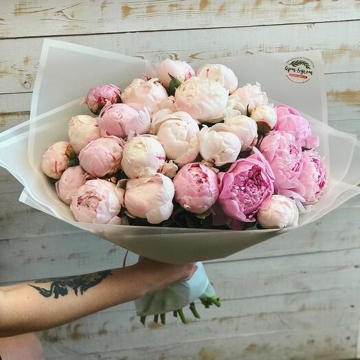 25 нежных пионов в упаковке