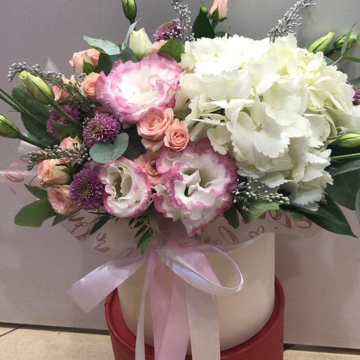 Caja de hortensias