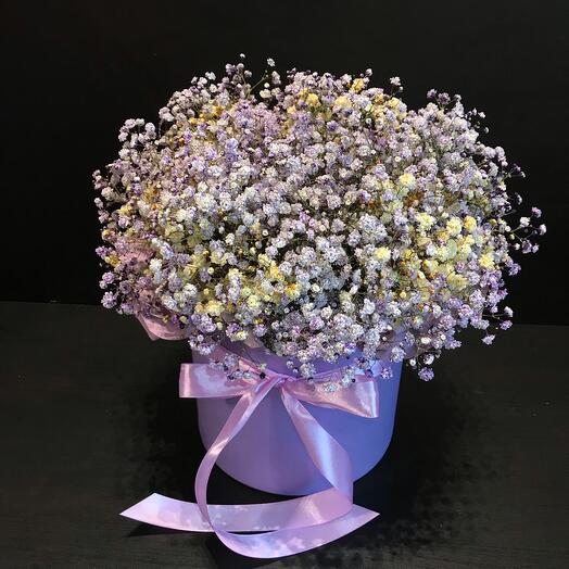 Сиреневый туман (сухоцвет)