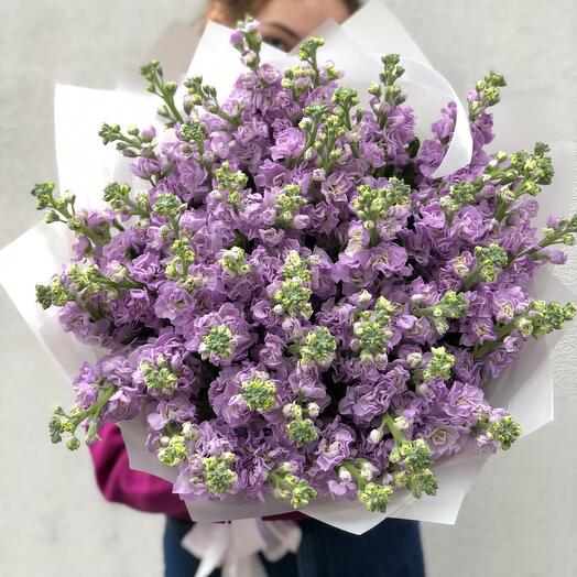 49 fragrant mattiols