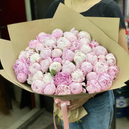 51 peonies of the Sarah Bernhardt variety