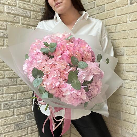 Hydrangeas LUX