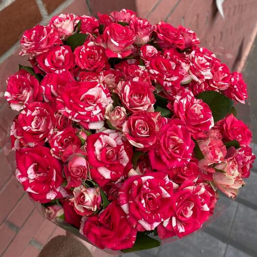 Bush rose