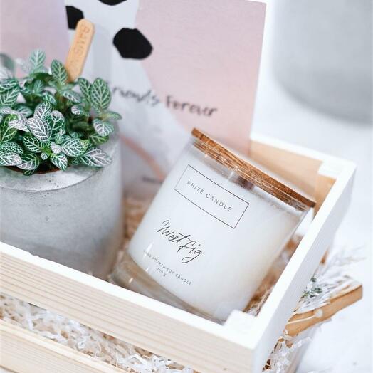Свеча ароматическая WHITE CANDLE "Sweet Fig", 45 часов горения, 1 шт