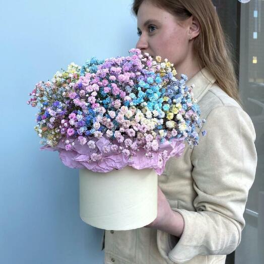 Composición De Gypsophila