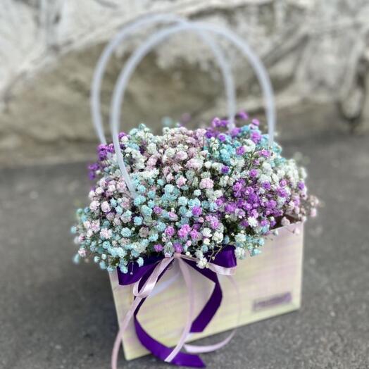 Gypsophila in the bag