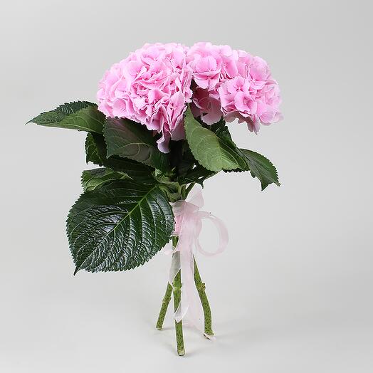 Bouquet of 3 pink hydrangeas