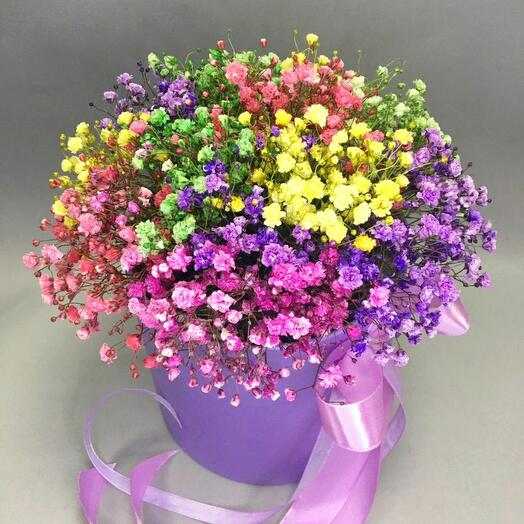 Composition of rainbow gypsophila