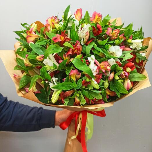 25 multicolored alstroemeria