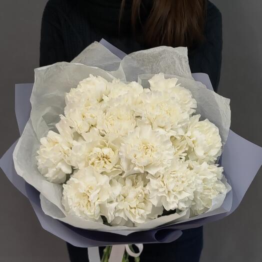 Monobucket of 15 snow-white carnations