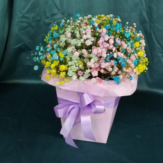 Rainbow gypsophila in a box