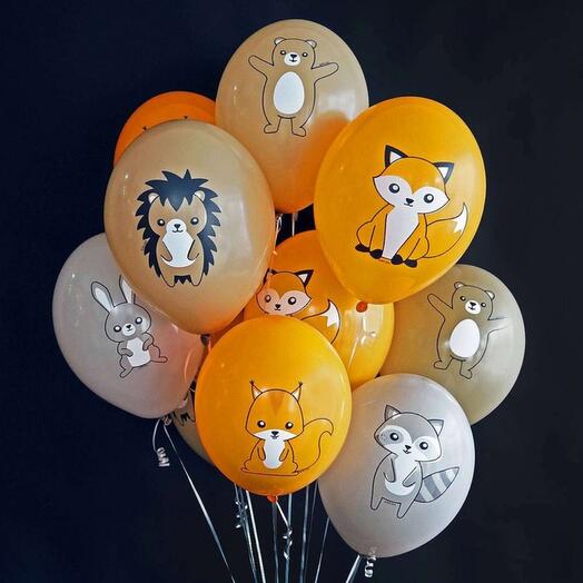 Set of 10 balls 30cm animals