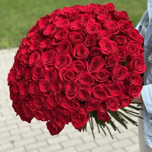 101 PREMIUM Red