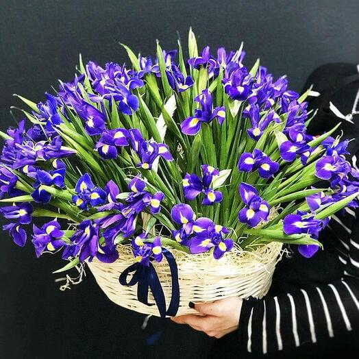 Корзина из 101 ириса