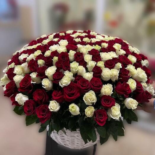 Огромная корзина из 301 Розы