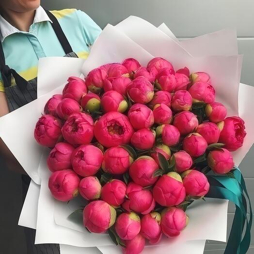 Coral peonies 49