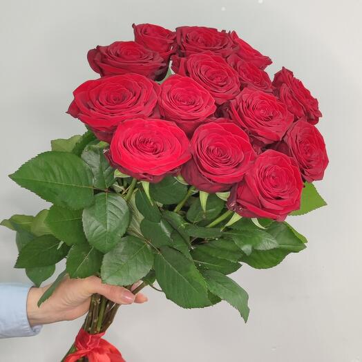 Розы красные 15шт