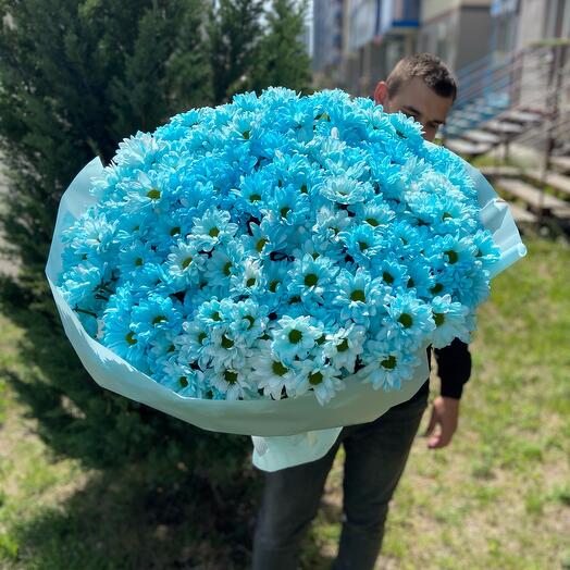 Ramo gigante"crisantemo azul"