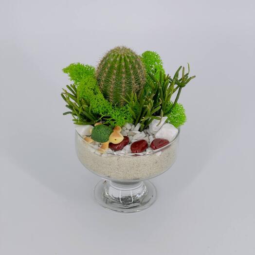 Настольный флорик с кактусом и черепахой