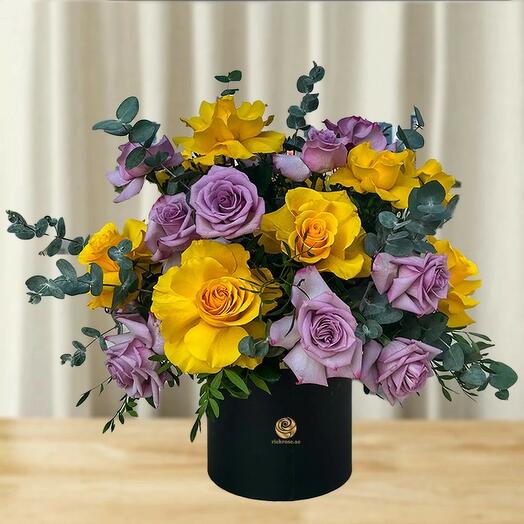 Purple and Yellow Roses in Black Box