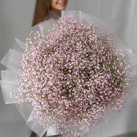 Гипсофила розовая 25шт