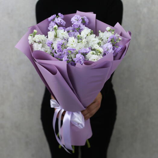 Bouquet of white and lilac mattiola