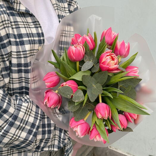 Tulips Columbus