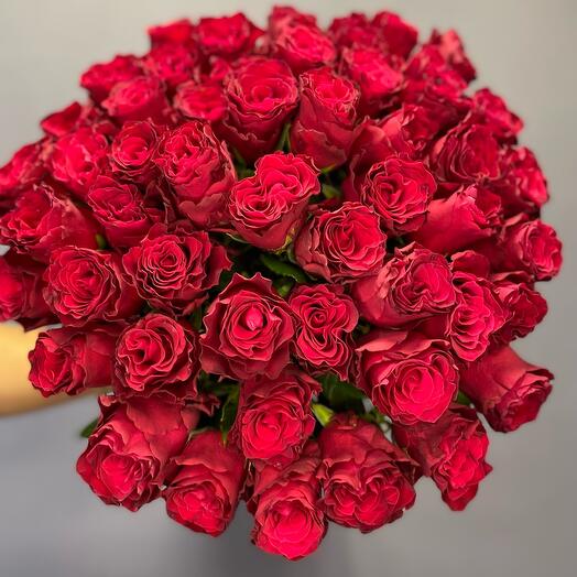 51 пионовидная Роза