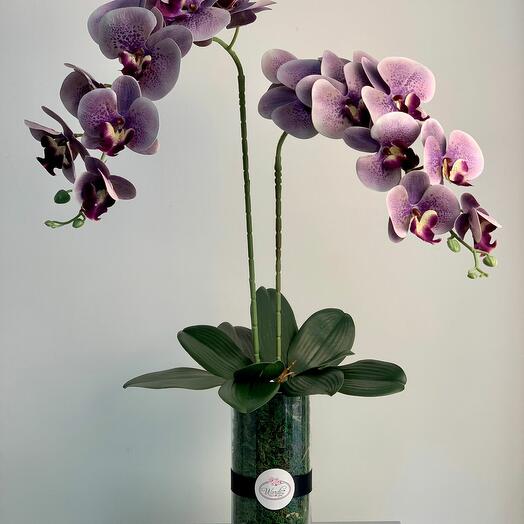Double Phalaenopsis in a Vase (ARTIFICIAL)