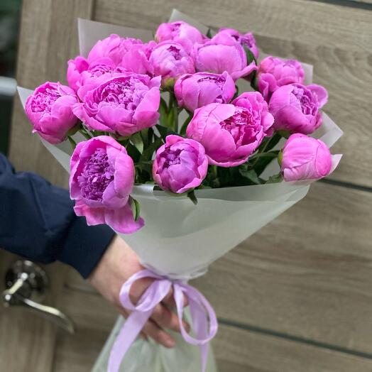 Пион 19