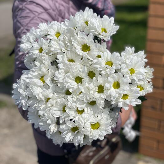 Монобукет из 7 кустовых хризантем